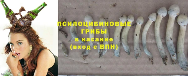 герыч Алексин