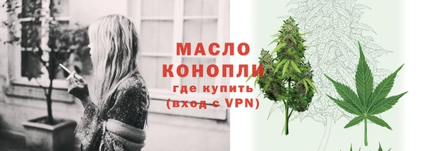 индика Абдулино