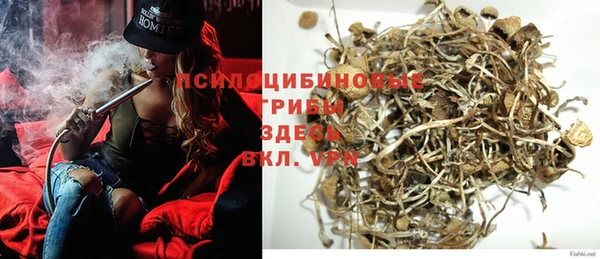 герыч Алексин