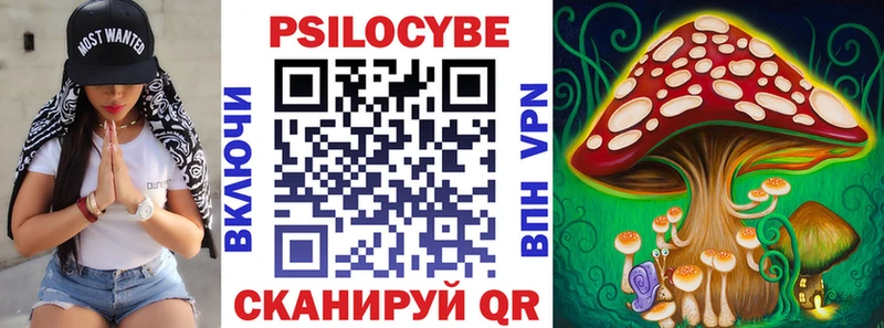 даркнет какой сайт  Касимов  Галлюциногенные грибы Cubensis  наркотики 